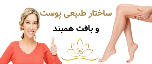 ساختار طبیعی پوست و بافت همبند