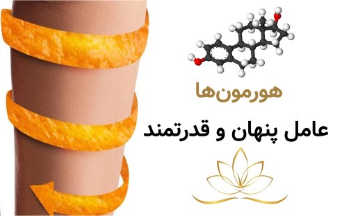 هورمون‌ها؛ عامل پنهان و قدرتمند