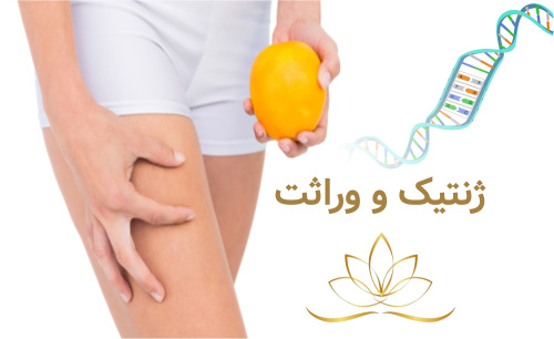 ژنتیک و وراثت